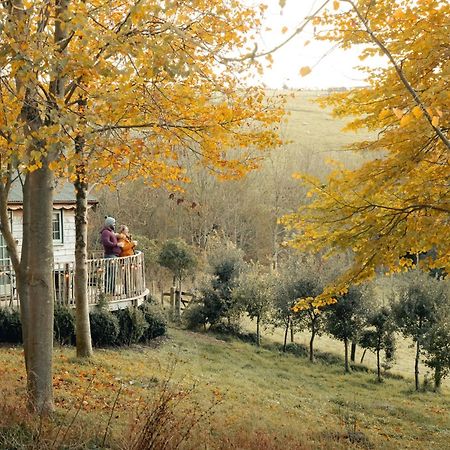 Cottage Orne Long Bredy Екстериор снимка